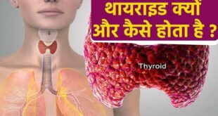Thyroid