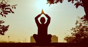 Yog