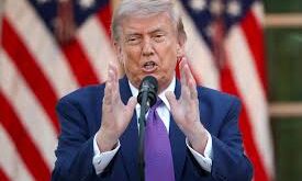 Turmp ji