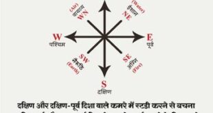 Sahi disha