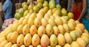 Aam