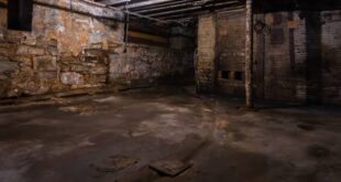 Basement Health Risks