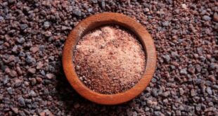Black Salt Side Effects