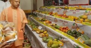 UP Mango Festival