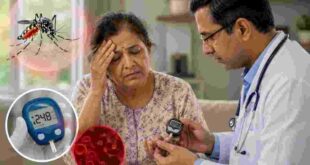 Dengue in Diabetes Patients: डायबिटीज मरीजों के लिए कितना खतरनाक है डेंगू? शोधकर्ताओं ने दी स्पेशल केयर और वैक्सीन की सलाह