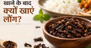 गैस और एसिडिटी से तुरंत राहत: खाना खाने के बाद चबाएं बस एक लौंग, जानिए इसके गजब के आयुर्वेदिक फायदे