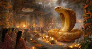 Nag Panchami 2026: कालसर्प दोष ने रोक रखी है तरक्की? नाग पंचमी से पहले ये 5 उपाय बदल देंगे आपकी किस्मत