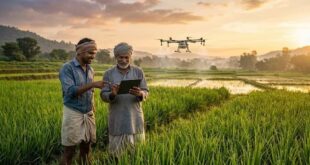 अब आर्टिफिशियल इंटेलिजेंस (AI) बनेगा देश के अन्नदाता का सबसे पक्का साथी! तमिलनाडु सरकार ने शुरू की उझावर AI योजना