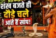इंसान नहीं, यहां सांप करते हैं शिव भक्ति! बालाघाट के मंदिर में आरती होते ही खुद चले आते हैं नाग नागिन