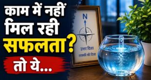 करियर में चाहिए प्रमोशन और सैलरी हाइक? उत्तर दिशा में रख लें यह एक चीज, खुलेंगे तरक्की के नए द्वार