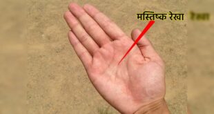क्या आपकी हथेली में भी है दुर्लभ डबल मस्तिष्क रेखा, जानिए सफलता के राज और इस एक बड़ी कमजोरी के बारे में