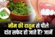 क्या सच में नीम की दातून पीले दांतों को चमका सकती है? जानिए डेंटल सर्जन की राय और दांतों का पीलापन दूर करने के सुरक्षित व असरदार उपाय
