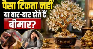 घर में इस जगह रख लें क्रिस्टल ट्री, दूर होगी आर्थिक तंगी और बीमारियां