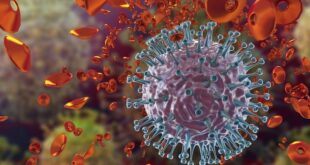 दिल्ली में स्वाइन फ्लू का कहर: H1N1 के 1777 मरीज मिलने से हड़कंप, स्वास्थ्य मंत्रालय ने जारी की सख्त एडवाइजरी