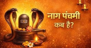 नाग पंचमी पर पहले करें शिवजी की पूजा या सर्पदेव की? इन 6 जरूरी नियमों का रखें ध्यान