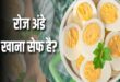 रोजाना अंडा खाने से शरीर में होते हैं ये अद्भुत बदलाव: बालों से लेकर दिमाग तक को मिलते हैं जबरदस्त फायदे
