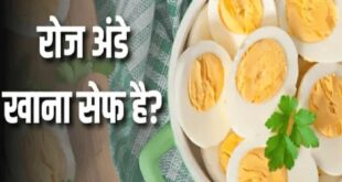 रोजाना अंडा खाने से शरीर में होते हैं ये अद्भुत बदलाव: बालों से लेकर दिमाग तक को मिलते हैं जबरदस्त फायदे