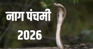 सावन में इस दिन मनाई जाएगी नाग पंचमी, जानिए पूजा का शुभ मुहूर्त और नाग देवता को प्रसन्न करने के नियम