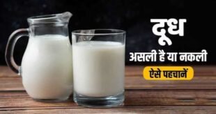 सिर्फ 15 रुपये में तैयार हो रहा जहर जैसा नकली दूध, 50 रुपये में हो रही धड़ल्ले से बिक्री