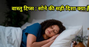 सोते समय किस दिशा में होना चाहिए सिर? कहीं आप तो नहीं कर रहे ये गंभीर गलती, वास्तु गुरु से जानें बेडरूम के सही नियम
