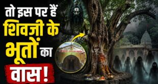 Haridwar Mystery: जंगलों के बीच छिपा वो पेड़ जहां आज भी होता है शिव के गणों का वास; जानिए भूतनाथ और दक्ष धाम का रहस्य