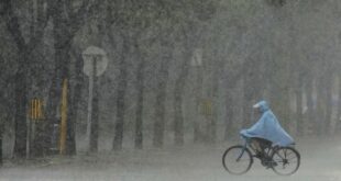 Heavy Rain Alert: कहीं मूसलाधार बारिश तो कहीं लैंडस्लाइड का भारी खतरा, IMD ने उत्तराखंड, हिमाचल, ओडिशा और पूर्वोत्तर समेत कई राज्यों के लिए जारी किया अलर्ट