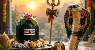 Nag Panchami 2026: कालसर्प दोष से मुक्ति और सुख समृद्धि के लिए नाग पंचमी पर करें ये खास उपाय, जानें पूजा विधि और शुभ मुहूर्त