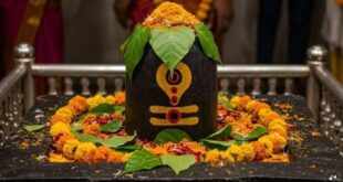 Sawan Bel Patra Ke Upay: सावन में बेलपत्र के ये आसान और अचूक उपाय दिलाएंगे सभी 68 तीर्थों का पुण्य फल, दूर होंगी पैसों की तंगी और बीमारियां; जानें शिवलिंग पर बेलपत्र चढ़ाने के नियम और महाउपाय