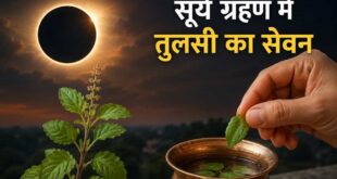 Solar Eclipse 2026: सूर्य ग्रहण लगते ही खाने पीने की चीजों में क्यों डालते हैं तुलसी का पत्ता? जानिए सदियों पुरानी परंपरा के पीछे का विज्ञान और सेहत को मिलने वाले 7 चमत्कारी फायदे