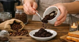 Coffee Grounds Reuse: बची हुई कॉफी को कचरा समझकर फेंकने की न करें भूल! घर, पौधों और स्किन के लिए बड़े काम का है यह नुस्खा; जानें इस्तेमाल के 5 आसान तरीके