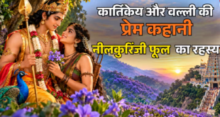 कार्तिकेय और वल्ली की प्रेम कहानी: जानिए नीले रंग के खूबसूरत नीलकुरिंजी फूलों और प्रसिद्ध तिरुत्तनी मुरुगन मंदिर का क्या है रहस्यमयी कनेक्शन