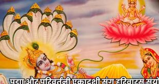 पद्मा एकादशी पर हरिवासर का दुर्लभ संयोग: बैकुंठ धाम में स्थान पाने के लिए ऐसे करें व्रत