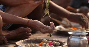 श्राद्धपक्ष में अपनी राशि के अनुसार करें इन चीजों का गुप्त दान, प्रसन्न होकर पितृ करेंगे आपकी हर मनोकामना पूरी और चमकाएंगे भाग्य