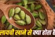 सिर्फ माउथ फ्रेशनर नहीं है हरी इलायची: रोजाना 2 दाने चबाने से मिलते हैं ये 5 जादुई फायदे, एक्सपर्ट्स ने बताए सेहत से जुड़े बड़े राज