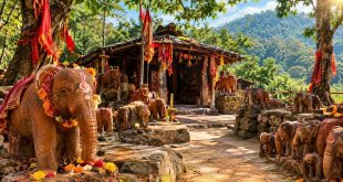 Jamshedpur Hathikheda Temple: न महिलाओं को प्रसाद, न घर ले जाने की इजाजत! जानिए जमशेदपुर के 300 साल पुराने हाथीखेड़ा मंदिर के अनोखे व सख्त नियम