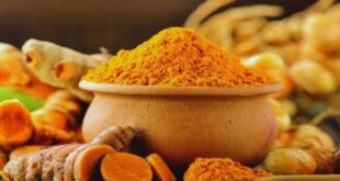 Miracle Natural Herb: करोड़ों रुपये खर्च करने के बाद भी नहीं ठीक होने वाली बीमारियों की काट? जानिए प्रकृति की उस चमत्कारी औषधि के वैज्ञानिक रहस्य और हकीकत