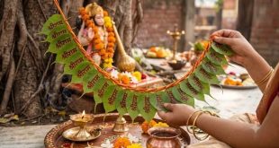 Pitru Paksha Peepal Ke Patte Upay: पीपल के 21 पत्तों पर लिखें 'श्री राम', पितृ दोष और शनि के प्रकोप से मुक्ति का यह अचूक उपाय