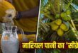 Science Behind Coconut Water: 80 फीट ऊंचे पेड़ पर नारियल के अंदर कहां से आता है इतना पानी? जानिए जड़ से फल तक पहुंचने का पूरा वैज्ञानिक रहस्य