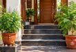 Vastu Tips: सीढ़ियों के नीचे भूलकर भी न रखें तुलसी और शमी का पौधा, घर में छा जाएगी कंगाली; जानें किन अशुभ पौधों से बढ़ता है भयंकर तनाव