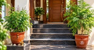 Vastu Tips: सीढ़ियों के नीचे भूलकर भी न रखें तुलसी और शमी का पौधा, घर में छा जाएगी कंगाली; जानें किन अशुभ पौधों से बढ़ता है भयंकर तनाव