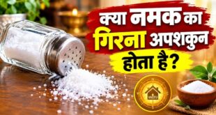 Vastu Tips for Salt: हाथ से नमक का गिरना शुभ या अशुभ? जानिए वास्तु शास्त्र के नियम, ज्योतिषीय मान्यताएं और इससे जुड़े बड़े संकेत