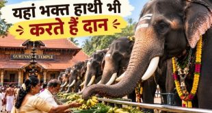केरल के गुरुवायूर मंदिर में हैं सबसे ज्यादा हाथी