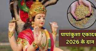 पापांकुशा एकादशी के दिन जरूर करें इन पवित्र चीजों का दान
