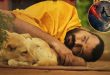 बॉक्स ऑफिस पर 'हनुमान अंश' का ऐतिहासिक सफर, 67वें दिन भी दर्शकों की भारी भीड़