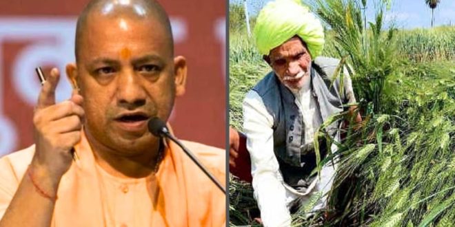 मुख्यमंत्री योगी की मंशा को धरातल पर उतारने में जुटा मंडी परिषद, किसानों के हित को सर्वोच्च प्राथमिकता 