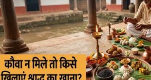 सर्वपितृ अमावस्या 2026: श्राद्ध में कौवा खाना खाने न आए तो क्या करें, सही विकल्प और पंचबली का खास नियम
