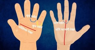 हाथ की इन खास रेखाओं वाले लोग शेयर मार्केट में बनते हैं बेताज बादशाह